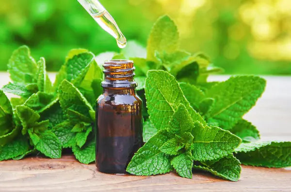 Peppermint OIl, a super essential oil!
