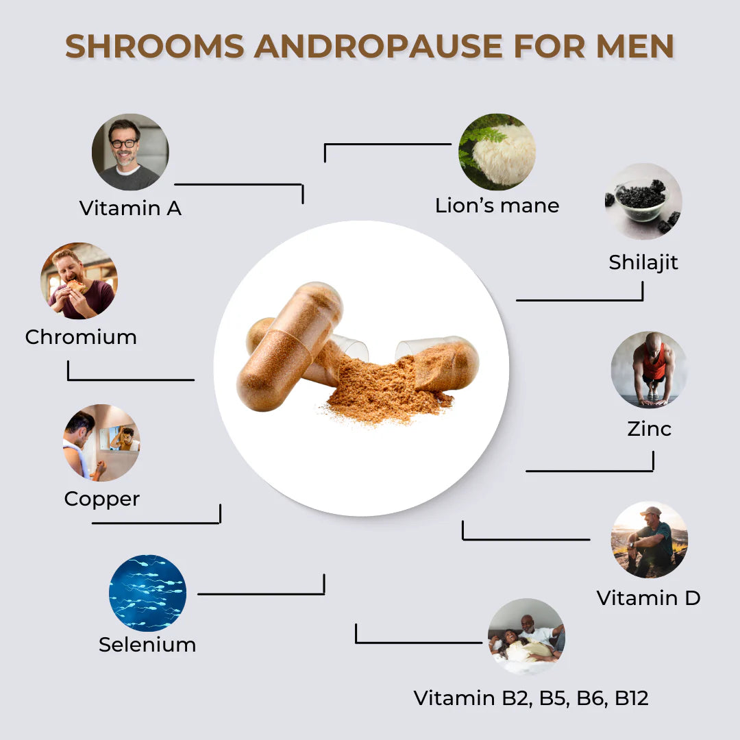 fabÜ SHROOMS ANDROPAUSE FOR MEN 60 caps