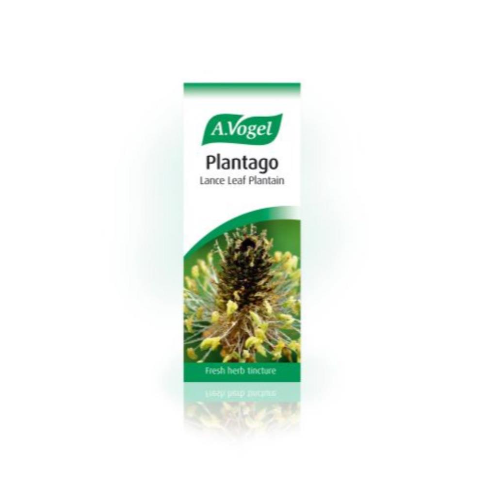 A.vogel Plantago Tincture - Horans Healthstore