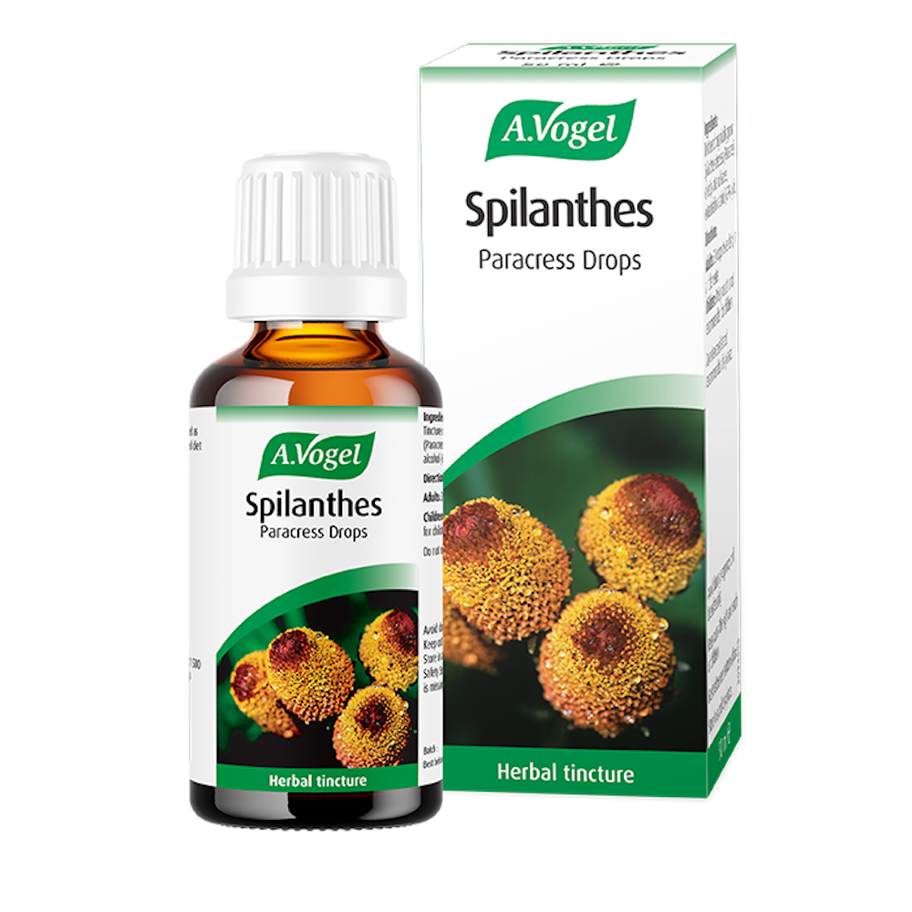 A.Vogel Spilanthes Paracress 50ml - Horans Healthstore