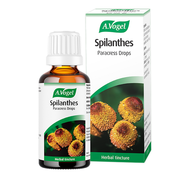 A.Vogel Spilanthes Paracress 50ml - Horans Healthstore