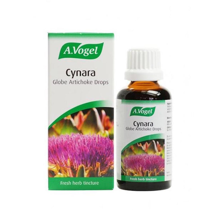 A.vogel Artichoke Cynara 50ml - Horans Healthstore