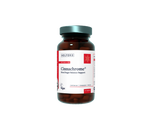 Patrick Holford Cinnachrome Capsules 60s - Horans Healthstore