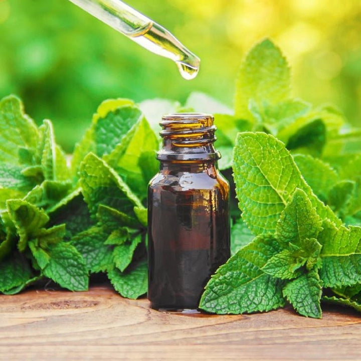 Peppermint Oil 10ml at Horan's Healthstores