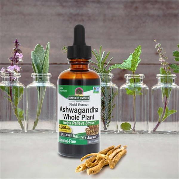 Nature's Answer Ashwagandha Alcohol Free Tincture 60ml - Horans Healthstore